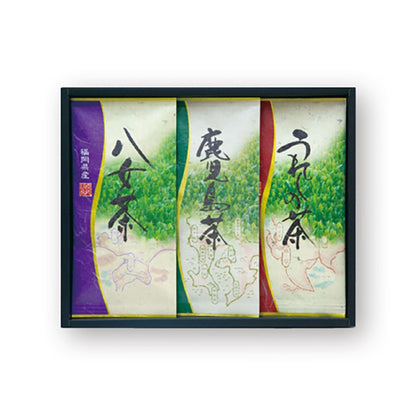 3 Famous Kyusyu Tea Brands Assortment (Yame, Kagoshima & Ureshino) [Direct from Japan]