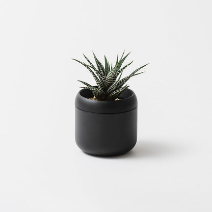 FUJITA KINZOKU Plant Pot HACHI